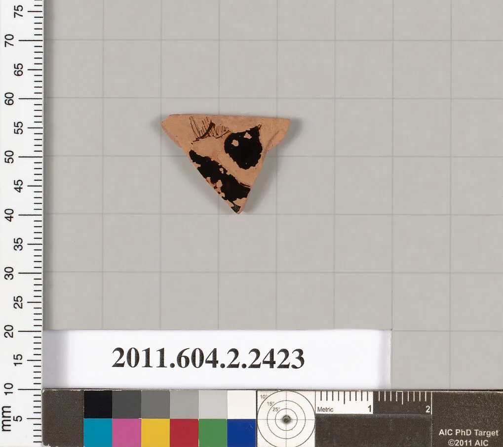 Terracotta fragment of a closed shape — Unknown