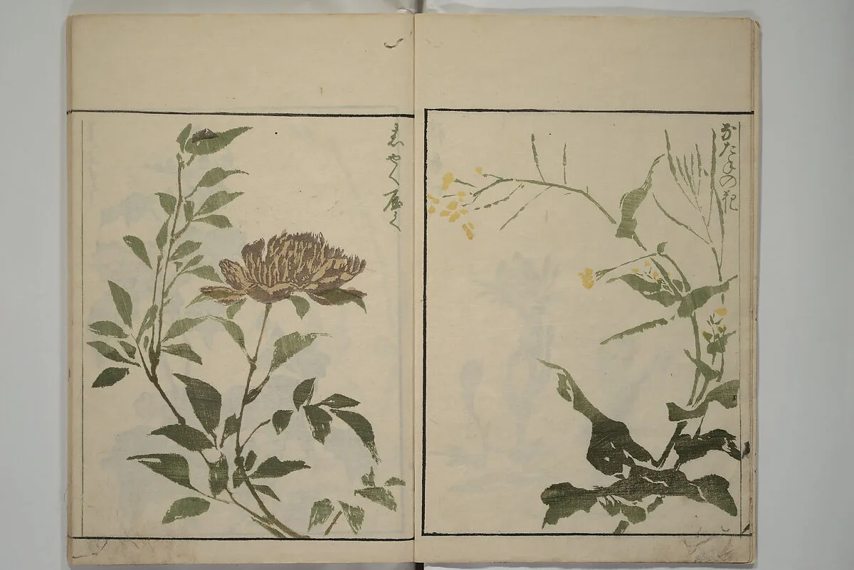 草花略画式|How to Draw Plants and Flowers Simply (Sōka ryakugashiki) 草花略画式 — Kuwagata Keisai 鍬形蕙斎