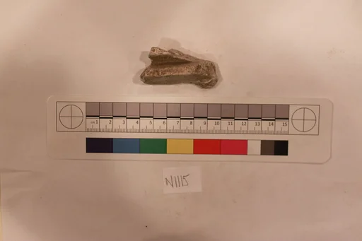 Stucco Fragment