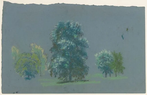 Tree Study