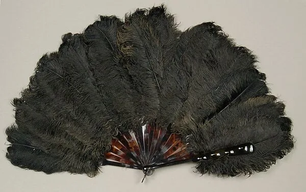 Fan — Unknown