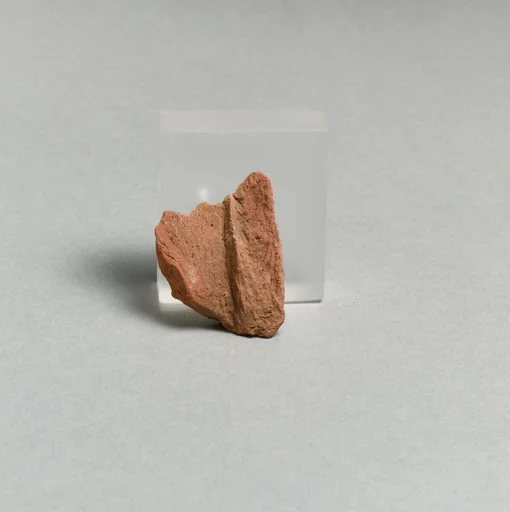 Vase fragment