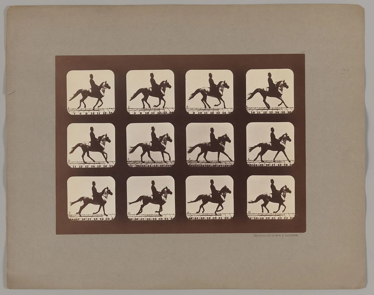 Attitudes of Animals in Motion — Eadweard Muybridge