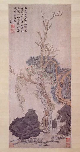 明? 佚名 傳文徵明 古藤樹石圖 軸|Old Wisteria among Trees and Rocks