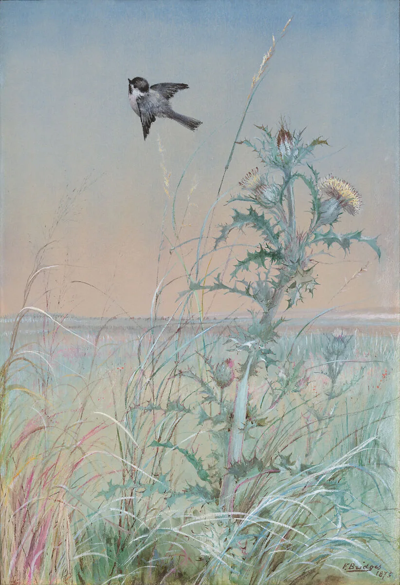 Chickadee and Thistle — Fidelia Bridges