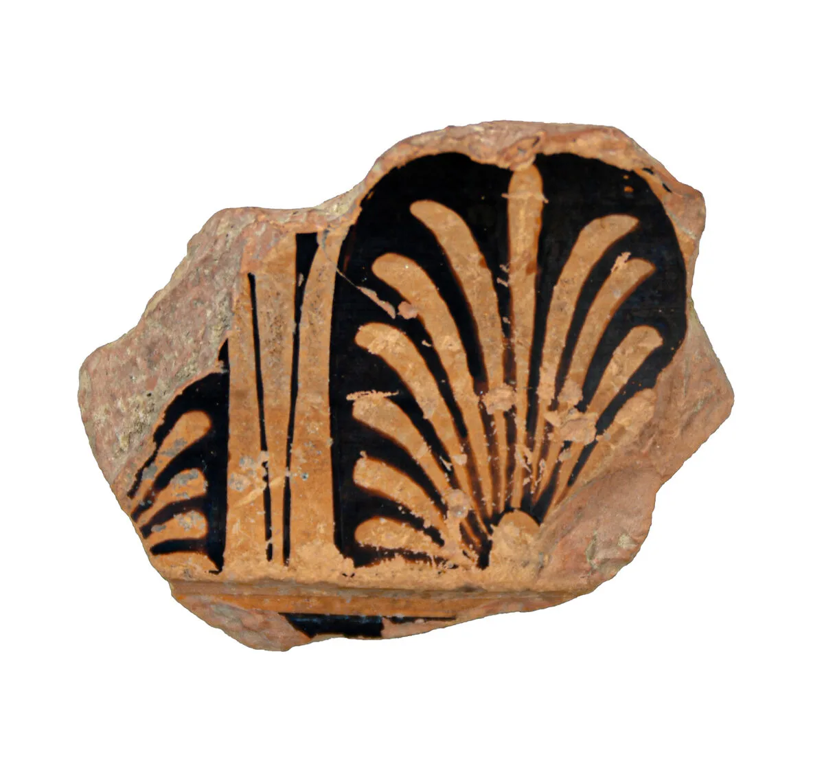Volute-krater fragment — Unknown
