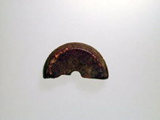 Whorl