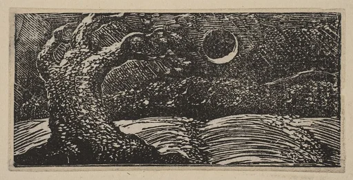 Blasted Trees and Flattened Crops, from Thornton's "Pastorals of Virgil"