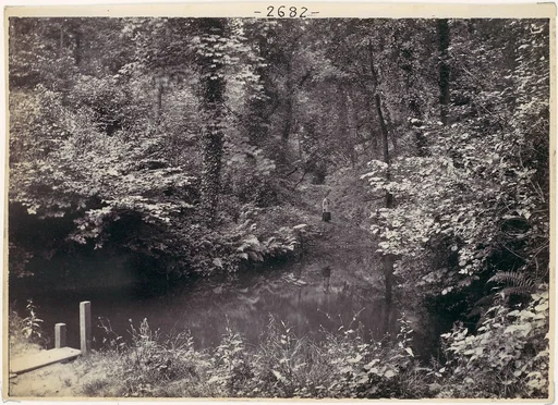 Colwyn Bay. The Pool in the Wood