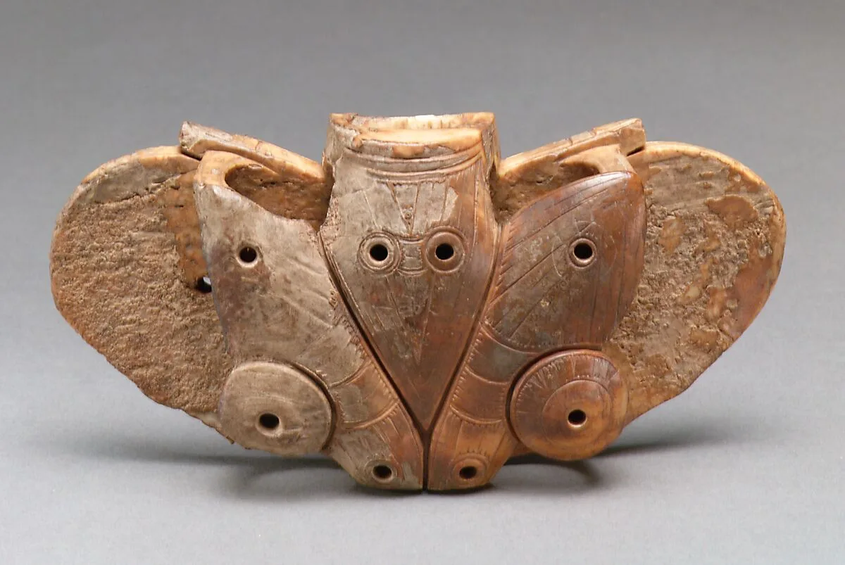 Winged Object — Unknown