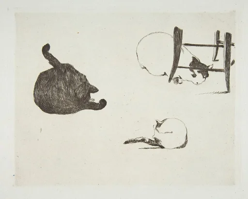 Cats