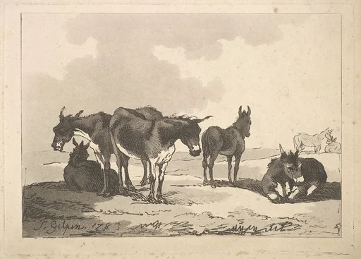A Group of Five Donkeys, Three Standing, Two Lying