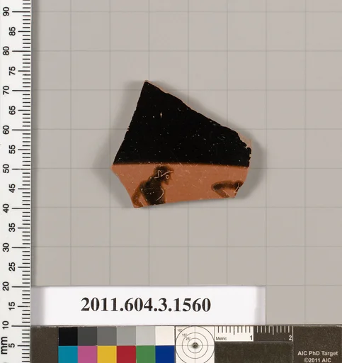 Terracotta fragment of a kylix: Band cup (drinking cup)
