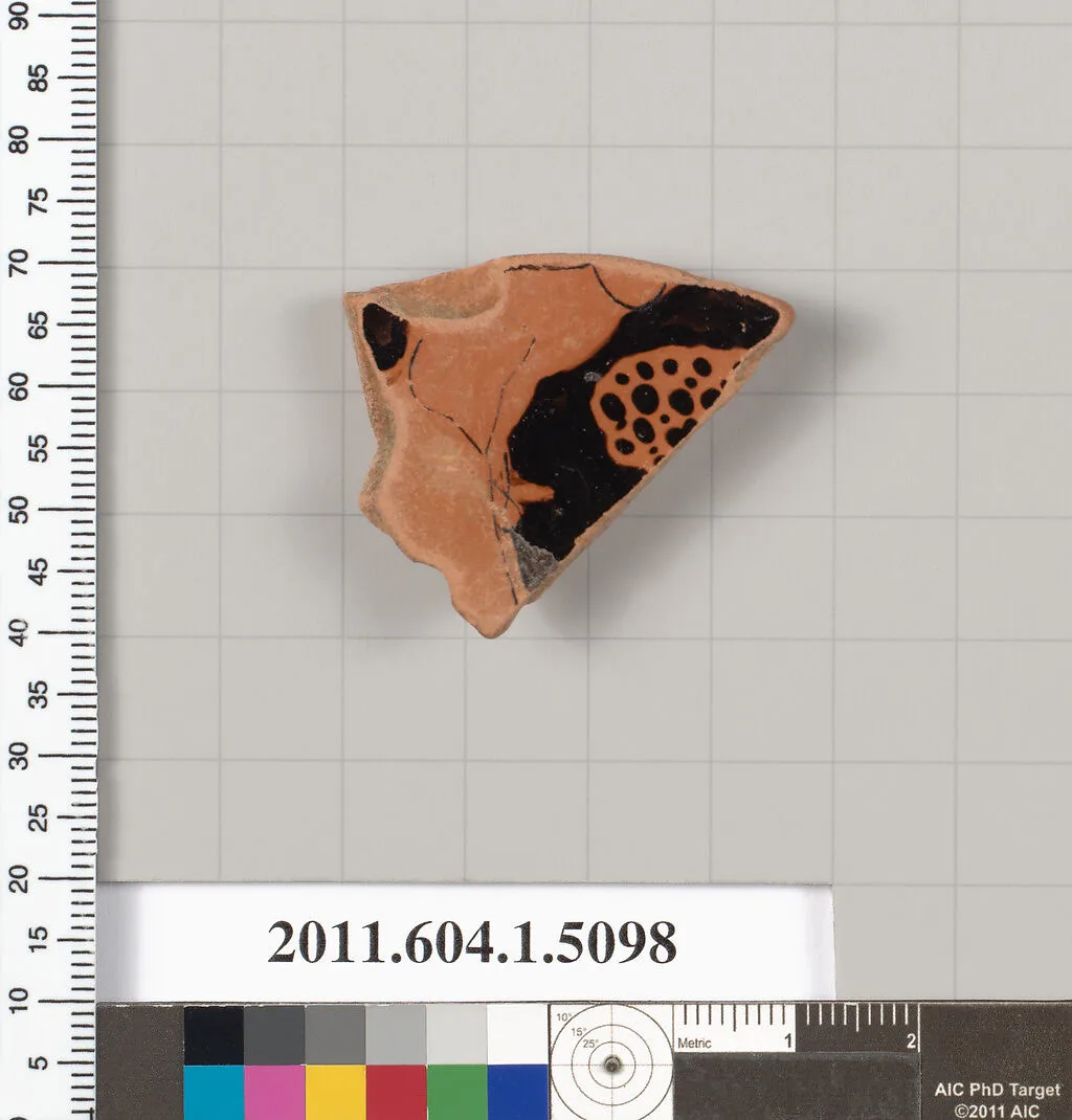 Terracotta fragment of a kylix (drinking cup) — Unknown