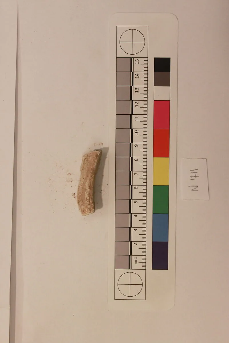 Stucco Fragment — Unknown