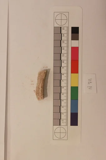 Stucco Fragment
