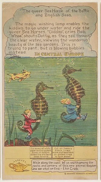 The Queer Sea Horse of the Baltic and English Seas, Central Europe, collector card from the Dotty, Bob and Trix Cards series (D27), issued by the Pryor Baking Company — Nafziger Baking Company, Kansas City, Missouri