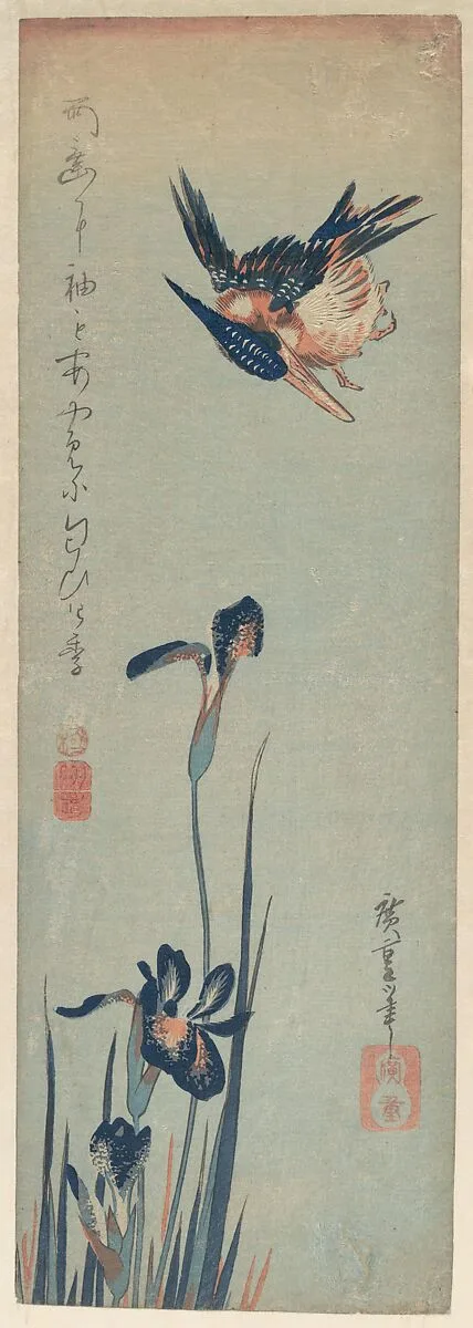 歌川広重画 燕子花に川蝉|Kingfisher and Irises — Utagawa Hiroshige
