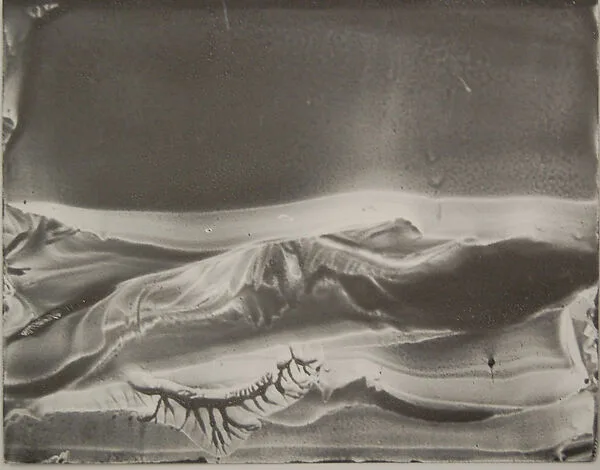 Untitled — Roland Flexner