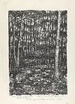 Woods at Deerfield (Our Retreat in the Woods, Deerfield, Illinois) — Ivan Albright