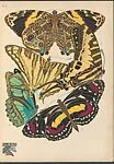Papillons, Pl. 5 — Emile-Allain Séguy|Tolmer Editeur