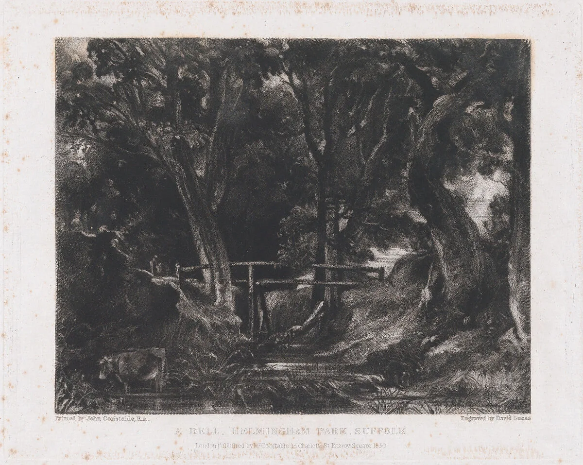A Dell, Helmingham Park, Suffolk — David Lucas|John Constable