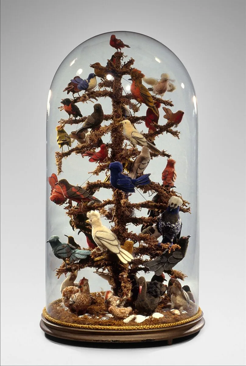 Aviary — Unknown