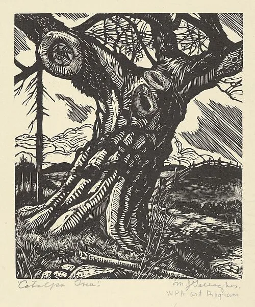 Catalpa Tree — Michael J. Gallagher|WPA