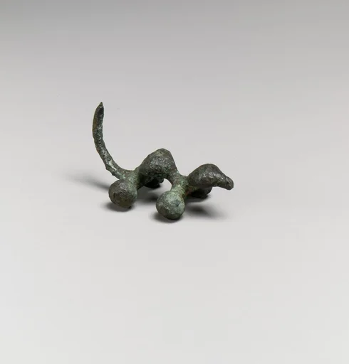 Fibula, fragment