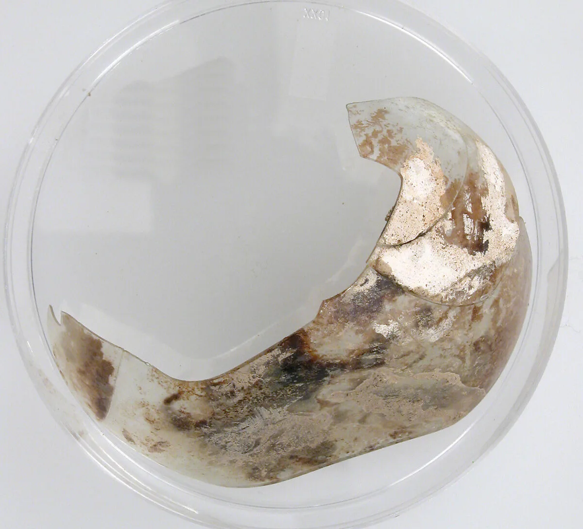 Glass Fragment — Unknown