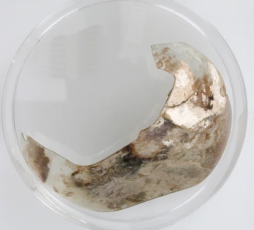 Glass Fragment