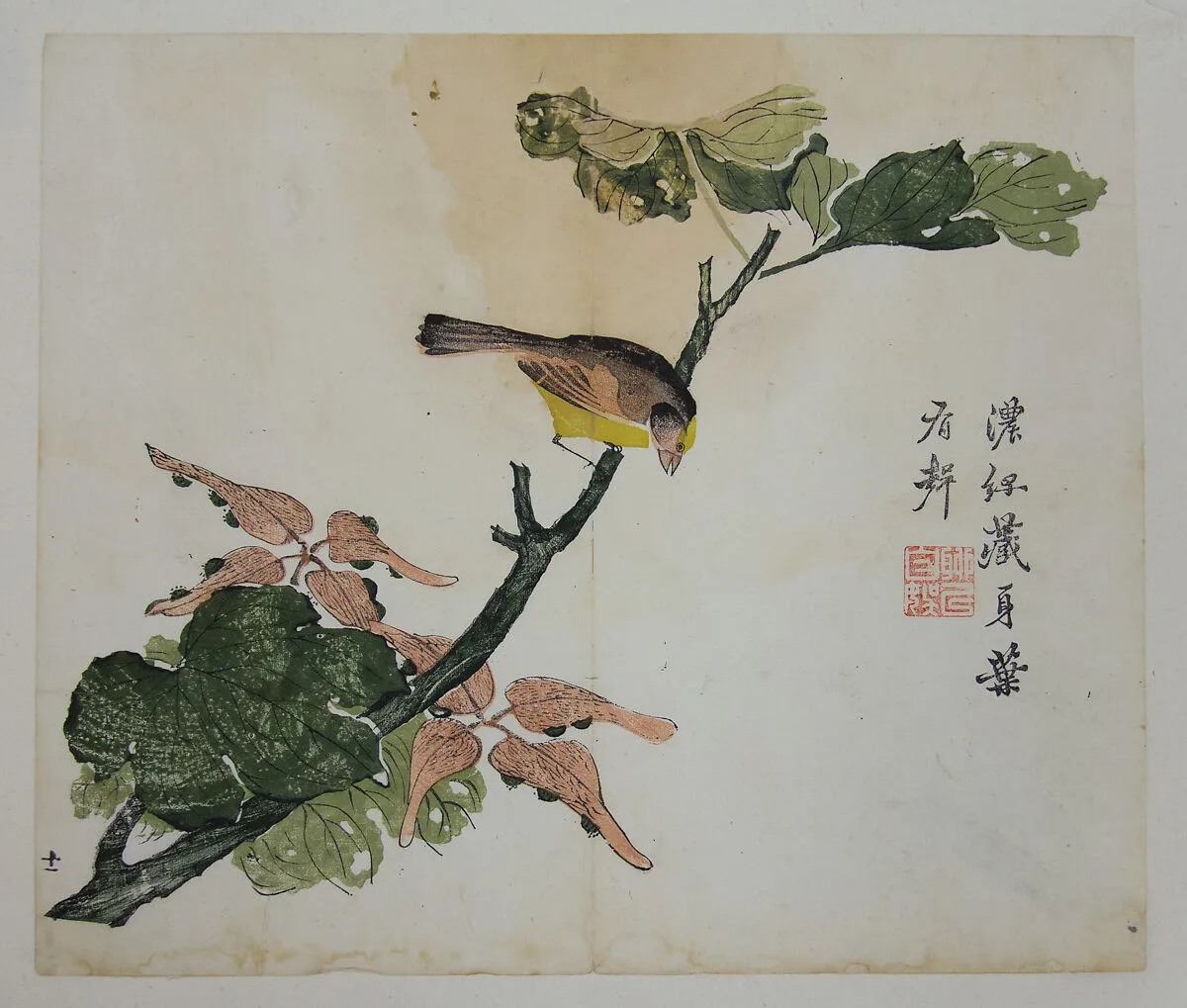 芥子園畫傳|Seeds and Aleurities Cordata (?): Page from The Mustard Seed Garden Manual of Painting (Jieziyuan huazhuan) — Dao Cheng