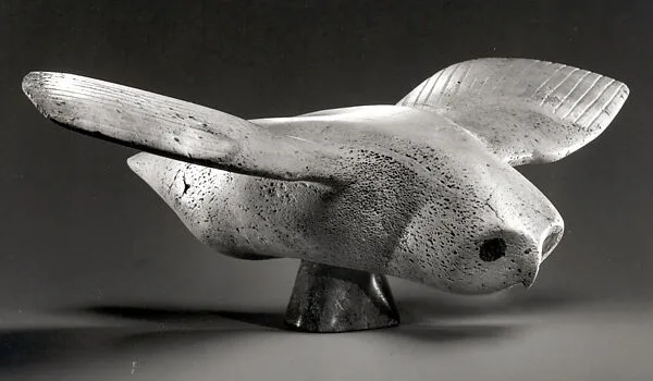 Whalebone Owl — Unknown