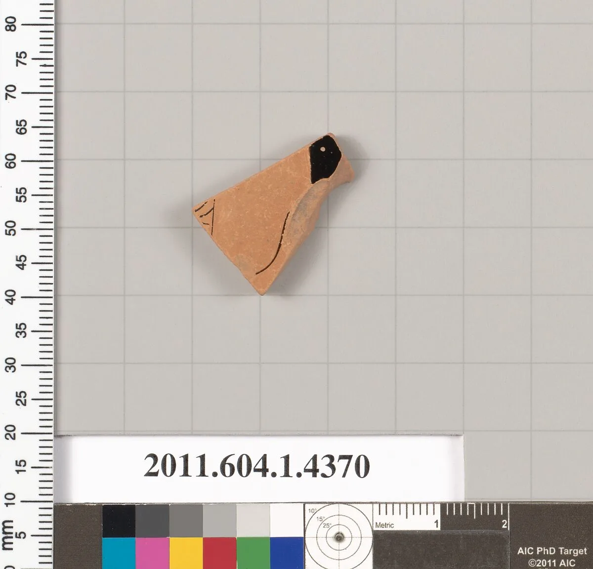 Terracotta fragment of a kylix (drinking cup) — Unknown