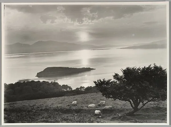 Sunset over Lorne — Robert Moyes Adam
