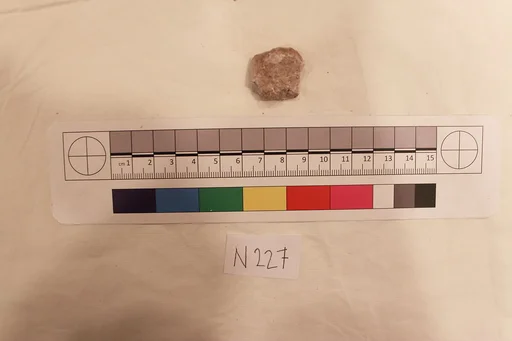 Stucco Fragment