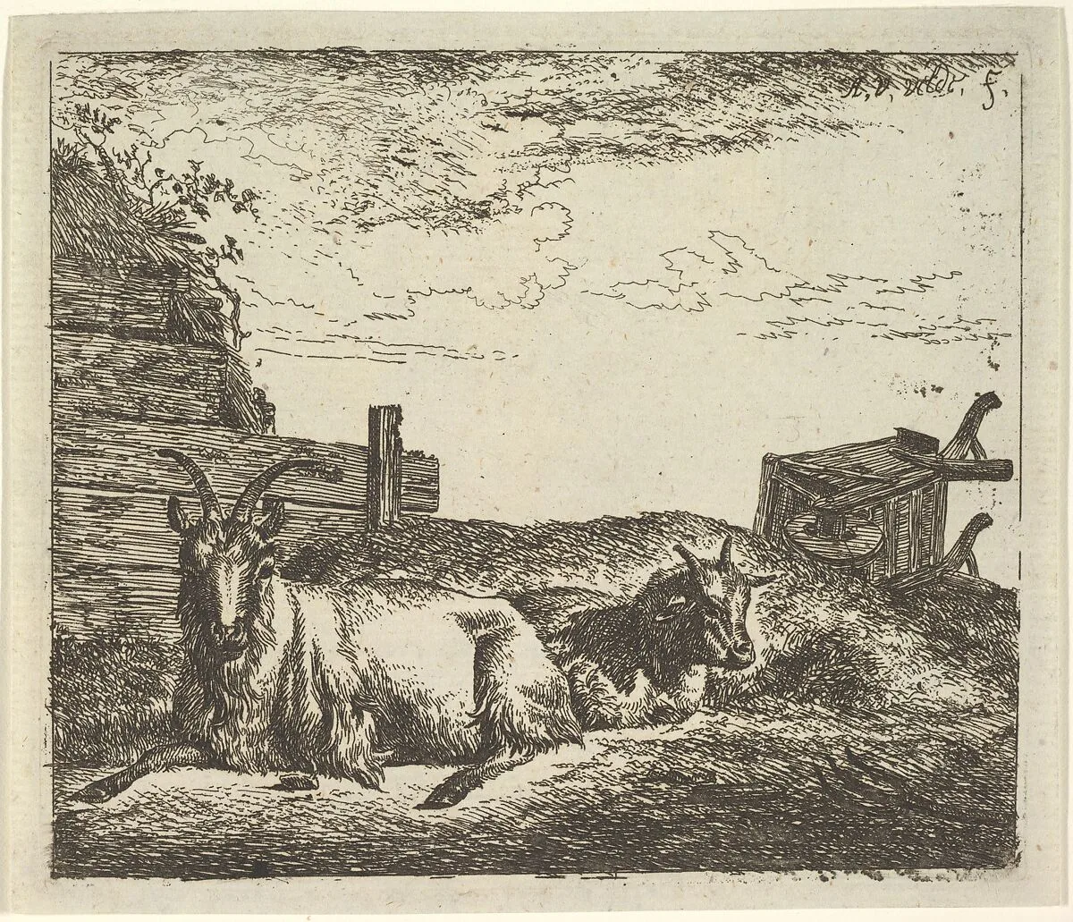 Recumbent Goats, from Different Animals — Adriaen van de Velde