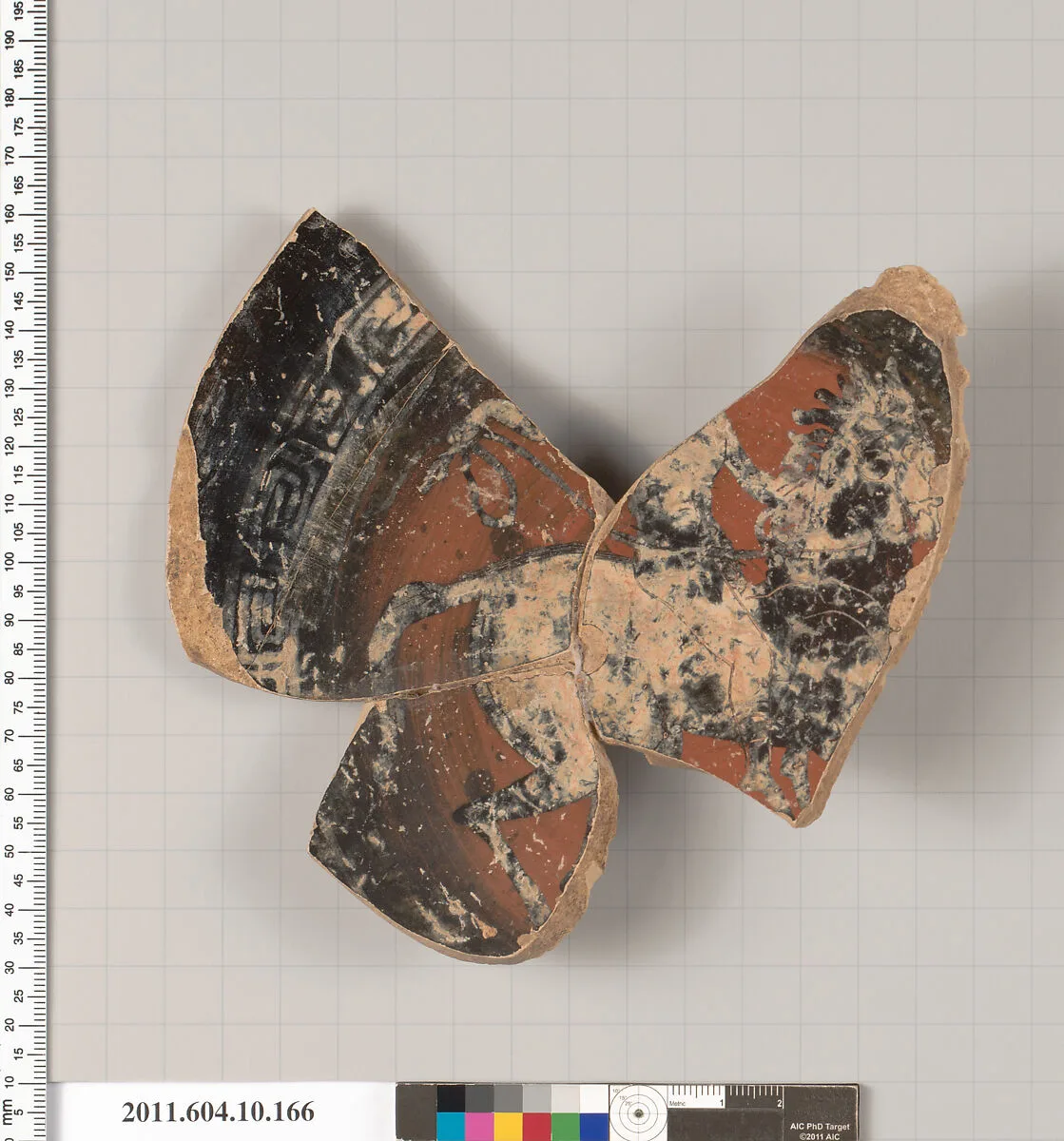Terracotta fragment of a kylix (drinking cup) — Unknown