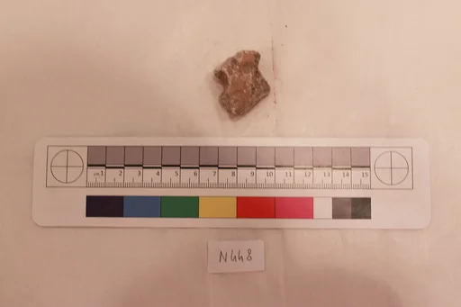 Stucco Fragment