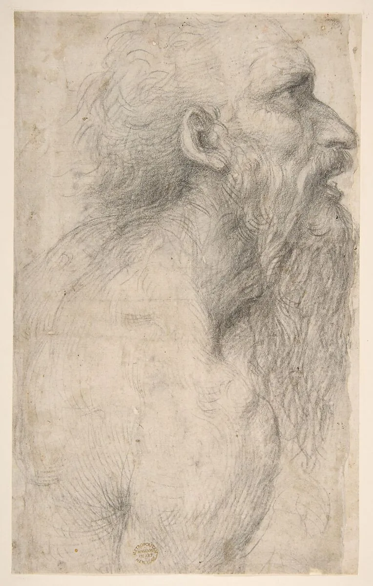 Bust of a Man with Long Beard (recto) — Sodoma (Giovanni Antonio Bazzi)
