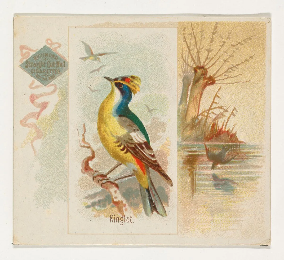 Kinglet, from the Song Birds of the World series (N42) for Allen & Ginter Cigarettes — Allen & Ginter|George S. Harris & Sons