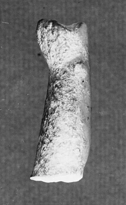Marble leg from a statuette — Unknown