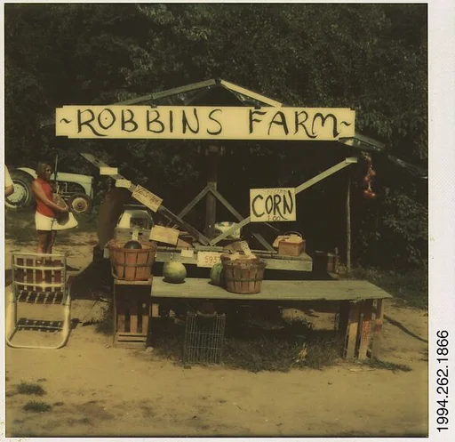 [Roadside Fruit and Vegetable Stand: "Robbins Farm"]