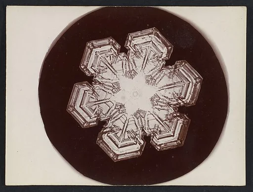 [Snow Crystal]
