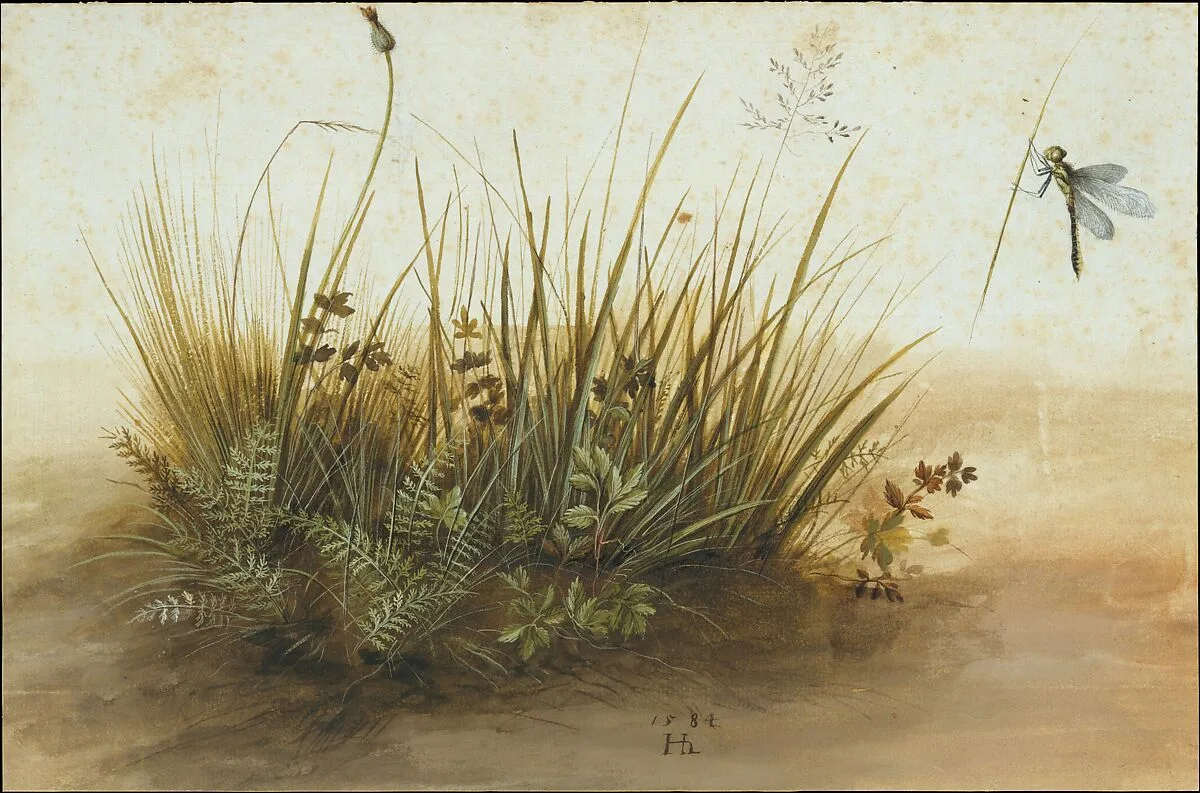 A Small Piece of Turf — Hans Hoffmann