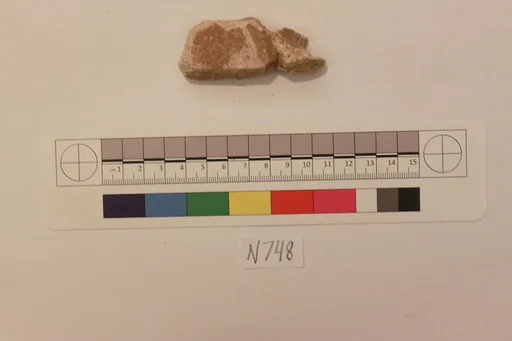 Stucco Fragment
