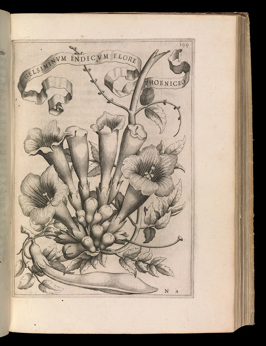 De Florum Cultura. Rome, 1633 — Giovanni Battista Ferrari|Stephanus Paulinus|Anna Maria Vaiani|Johann Friedrich Greuter|Andrea Sacchi|Guido Reni|Pietro da Cortona (Pietro Berrettini)