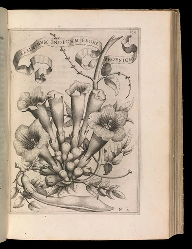 De Florum Cultura. Rome, 1633