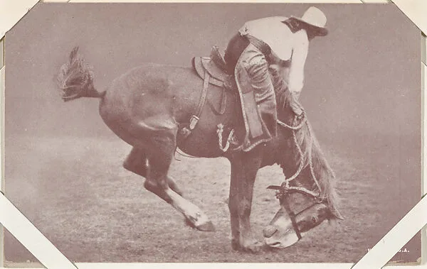 Cowboy riding bucking bronco with head down from Indians and Western Historical Scenes series (W417) — Unknown