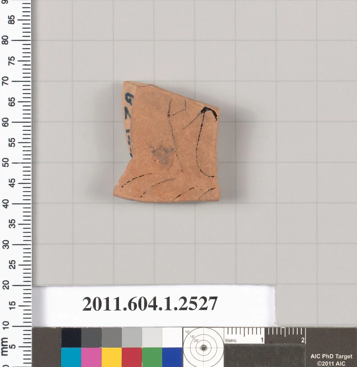 Terracotta fragment of a kylix (drinking cup) — Unknown